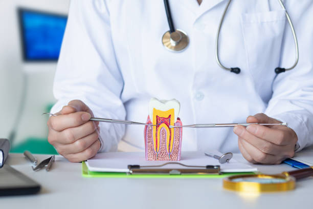 Best Emergency Dentist for Special Needs Patients in Granite Quarry, NC